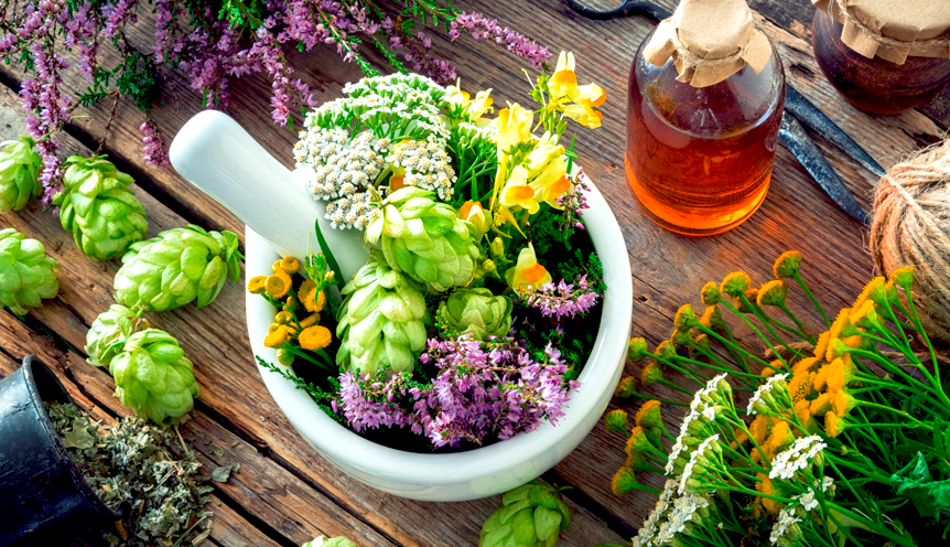 [Елена Корсун] [Фитоведа] Технология приготовления_0.png